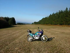 DSCN7981 DSCN7981