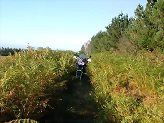DSCN7979 DSCN7979