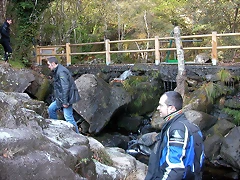 DSCN8031 DSCN8031