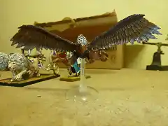 Aguila Gigante 1