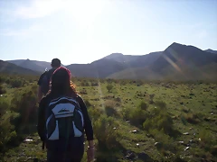 100_3282 100_3282