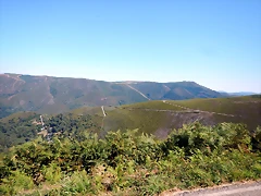 DSCN6990 DSCN6990