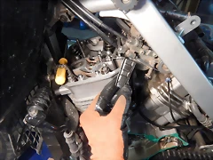DSCN9169 DSCN9169