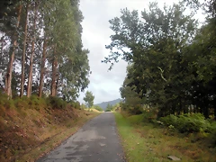 DSCN8406 DSCN8406