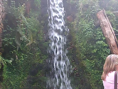 DSCN6788 DSCN6788