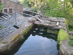 DSCN6771 DSCN6771