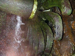 DSCN6780 DSCN6780