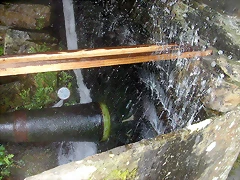 DSCN6782 DSCN6782