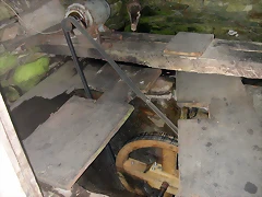 DSCN6787 DSCN6787