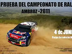 CARTEL RALLY 8