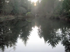 IMG_0524 IMG_0524