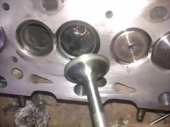 IMAG0687 IMAG0687