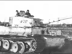 0 - Tiger1-mobility