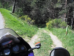 DSCF2522 DSCF2522