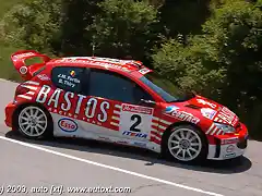 030615_rallyBulgaria_BrunoThiry_JeanMarcFortin_Peugeot206WRC