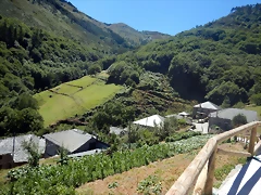 DSCN4667 DSCN4667