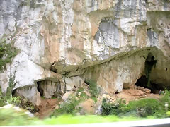 DSCN4833 DSCN4833