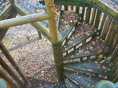 DSCN4654 DSCN4654
