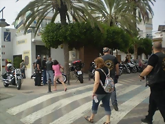 general y alcones 073