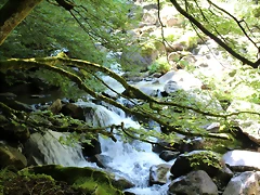 IMG_7161 IMG_7161