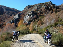 DSCN6877