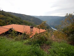 DSCN9993 DSCN9993