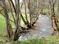 DSCN4855 DSCN4855
