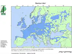 Quercus_robur