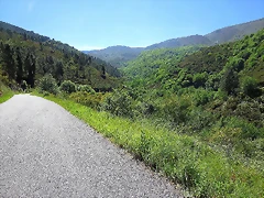 134-Imagen 135 134-Imagen 135