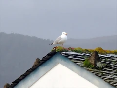 DSCN3237