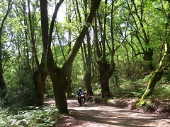 IMG_2744 IMG_2744