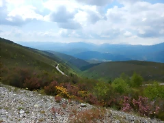 DSCN1292 DSCN1292