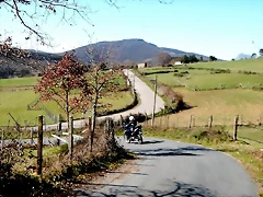 DSCN1478 DSCN1478