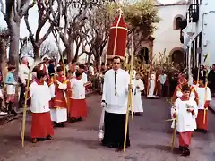 cruz procesional manga domingo de ramos