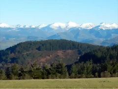 DSCN2592 DSCN2592