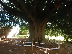 DSCN3524 DSCN3524