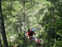 IMG_2179 IMG_2179
