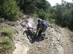 IMG_2177 IMG_2177