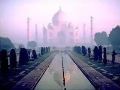 460038 - Taj Mahal, Agra, India