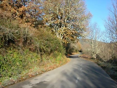 DSCN6735 DSCN6735