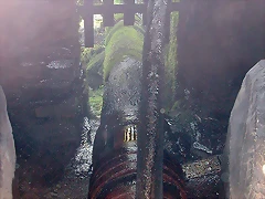 DSCN6796 DSCN6796