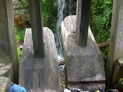 DSCN6794 DSCN6794