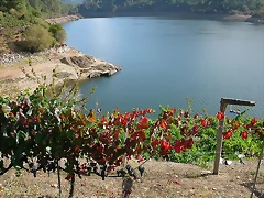DSCN7534 DSCN7534