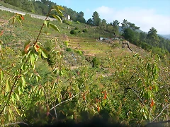 DSCN7490 DSCN7490