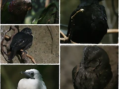 habitants solters habitants solters