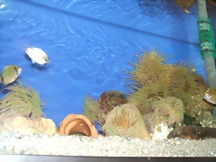 DSCF1327 DSCF1327