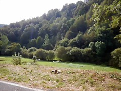 DSCN9639 DSCN9639