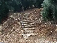 escaleras al campo