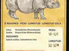 rinoceronte indio