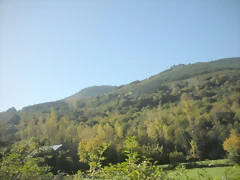 DSCN9980 DSCN9980